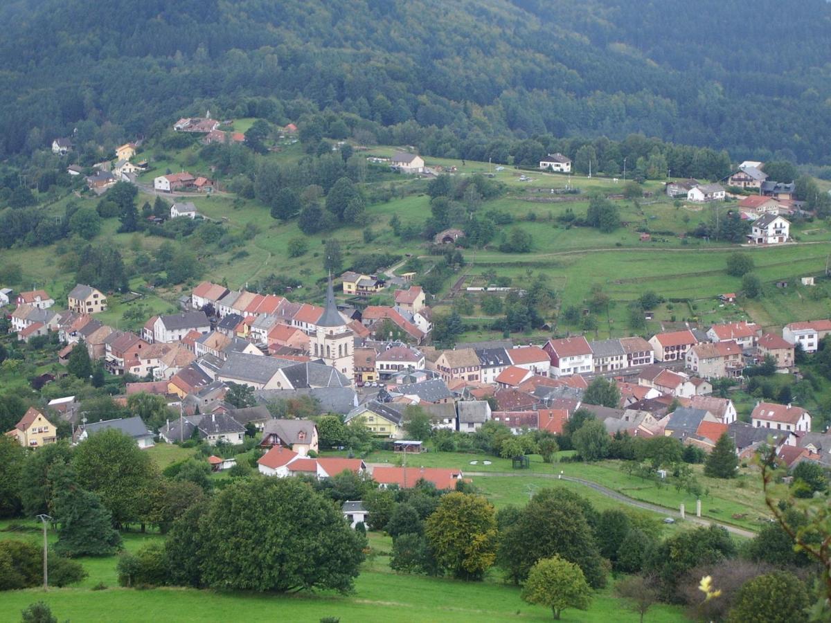 Gite "Au Joyeux Marcheur" Dabo - Logement Entier Exterior foto