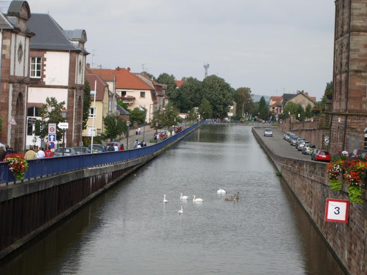 Gite "Au Joyeux Marcheur" Dabo - Logement Entier Exterior foto